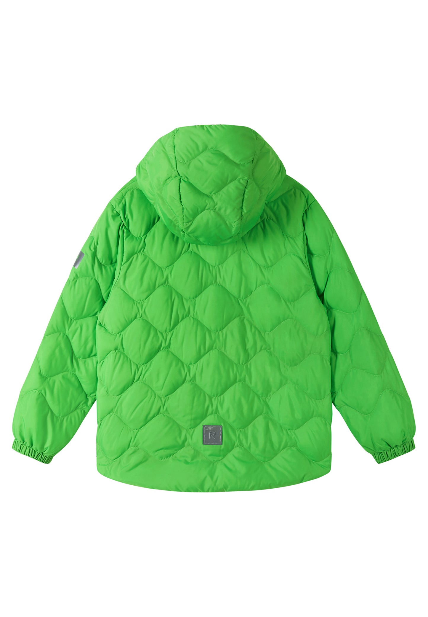 REIMA dünne Übergangs-Daunenjacke<br> Fossila<br> Gr. 104 bis 164<br> echte zertifizierte Daune, waschbar <br> WS 5'000 mm